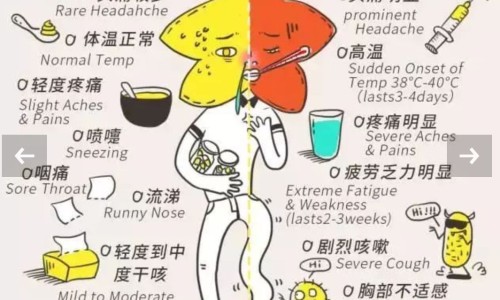 吃吃龟-权威吃吃龟不能用了吗平台,分享专业吃龟肉有什么禁忌知识_吃龟禁忌网